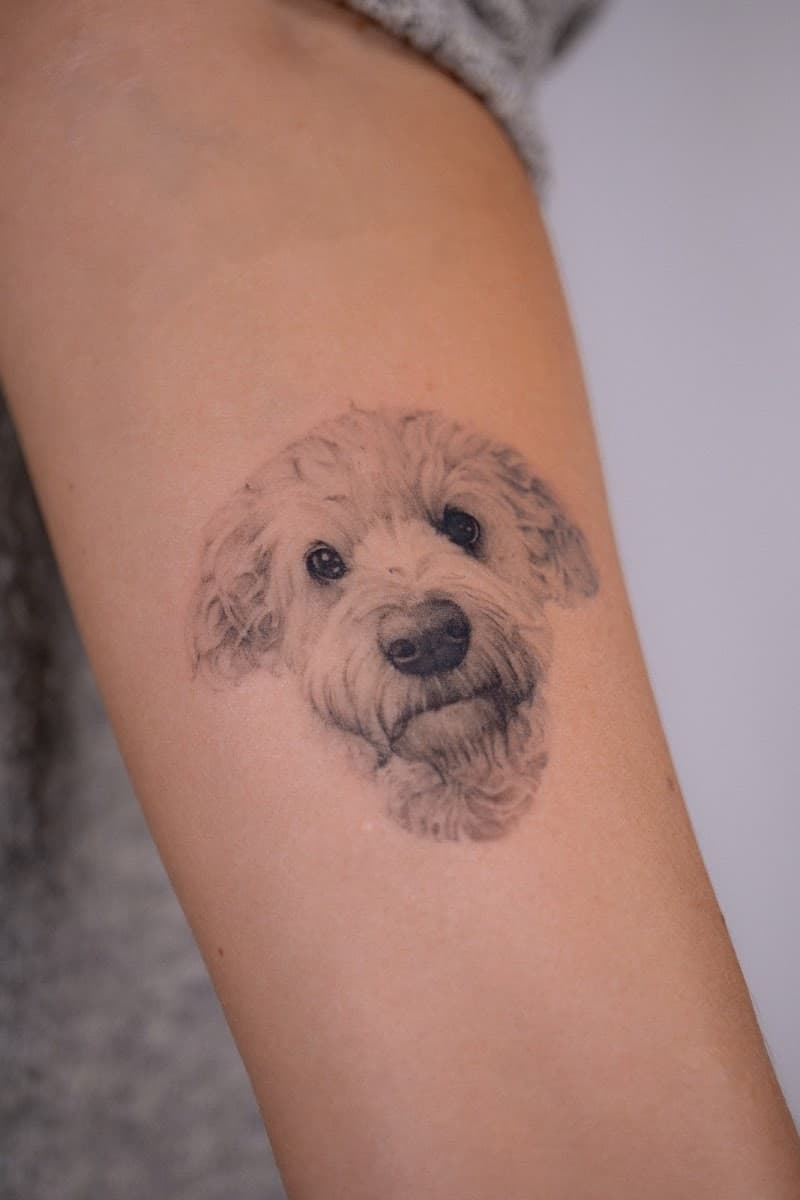 Fineline portret van een labradoodle hond op de bovenarm.