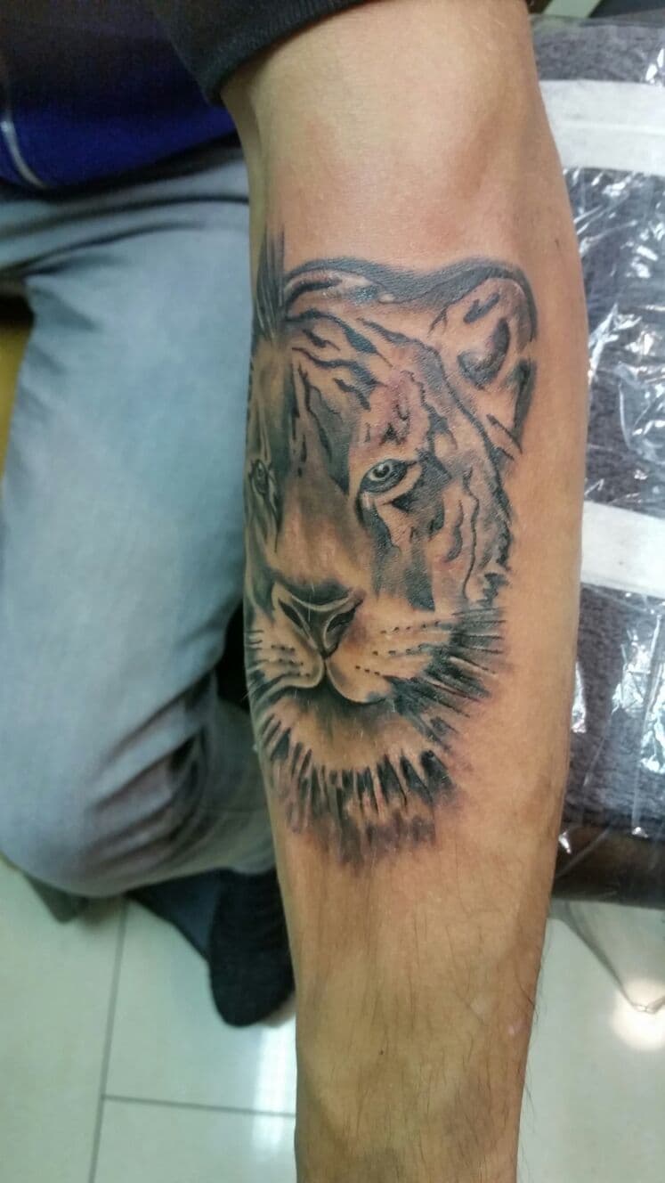 Realistische tijgerkop tattoo op de onderarm.