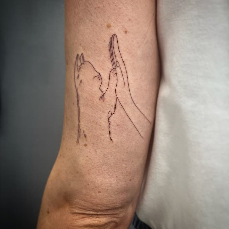 Fineline tattoo van een kat die een high-five geeft aan een hand.