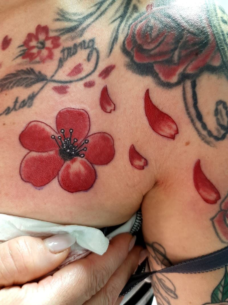 Rode bloem met vallende blaadjes op borst.