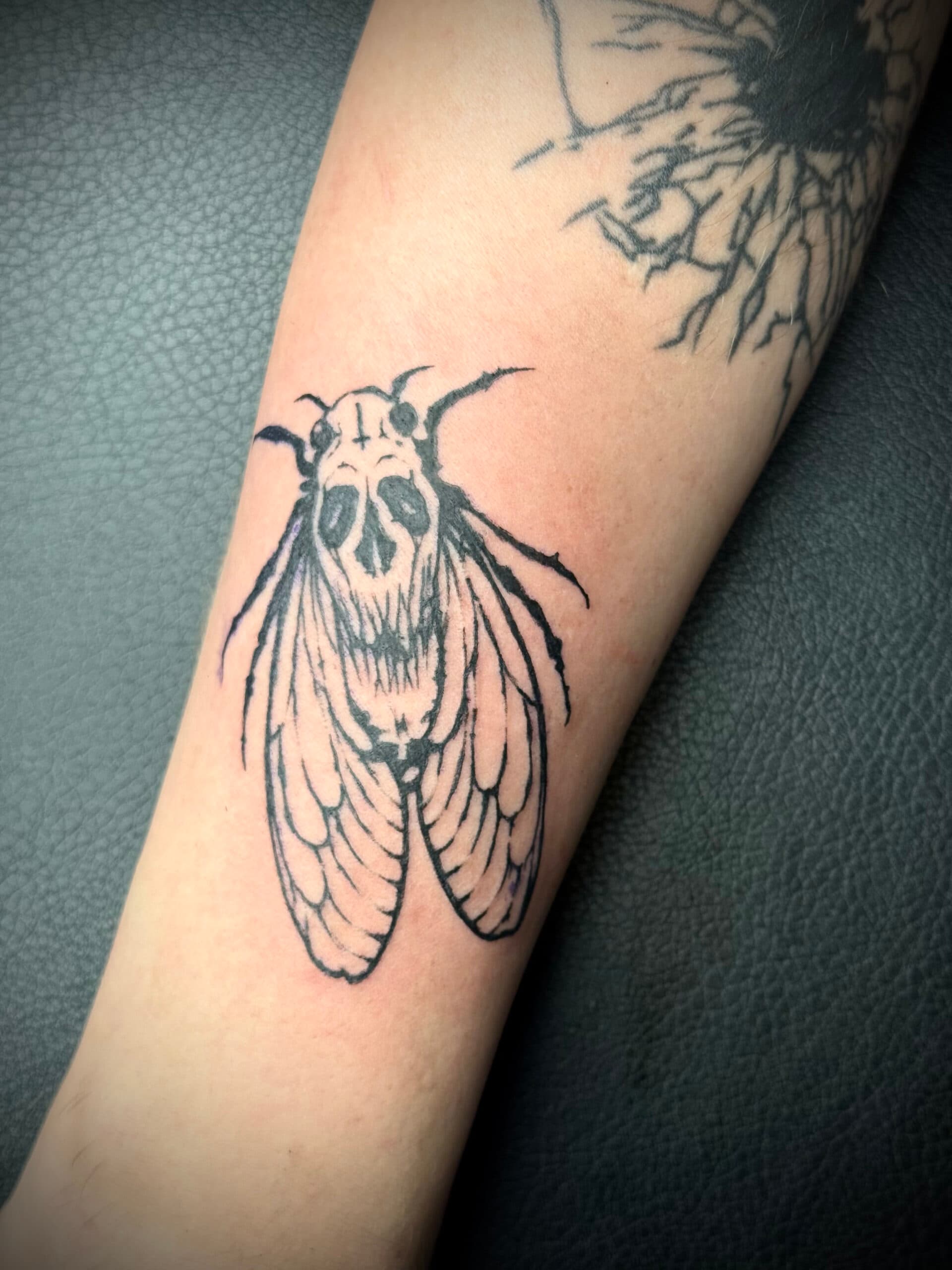Blackwork cicade met schedel op de rug op een onderarm.