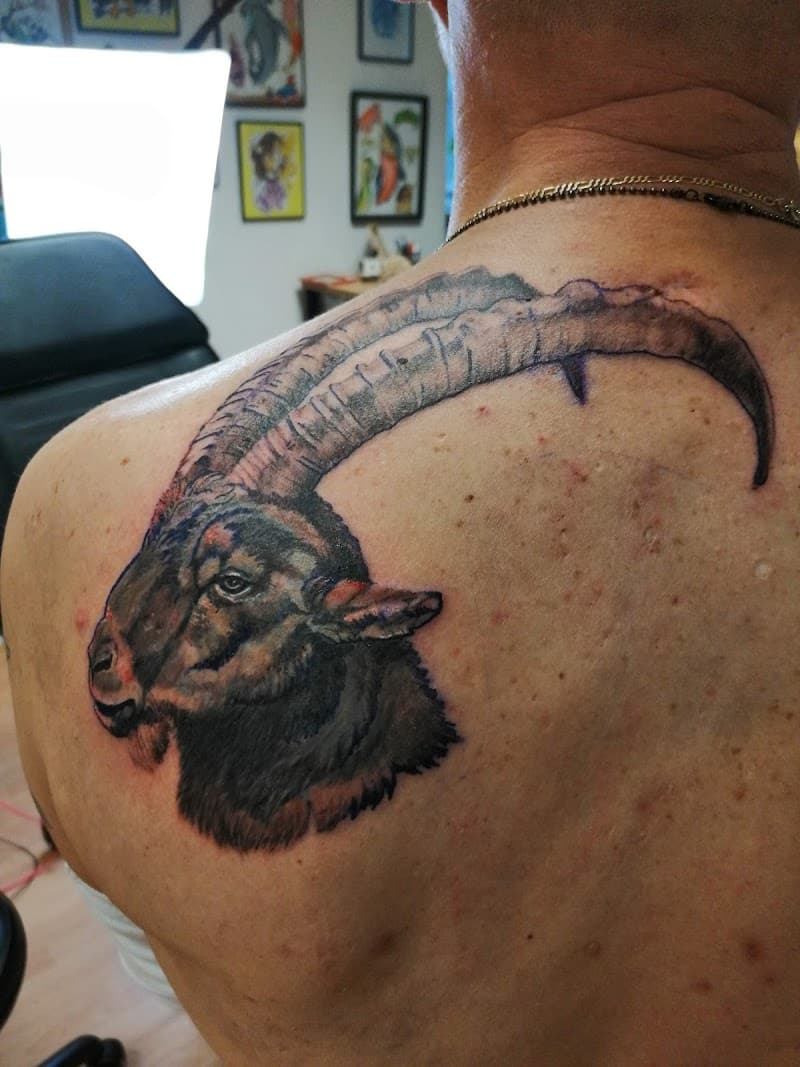 Realistische steenbok kop op schouderblad.