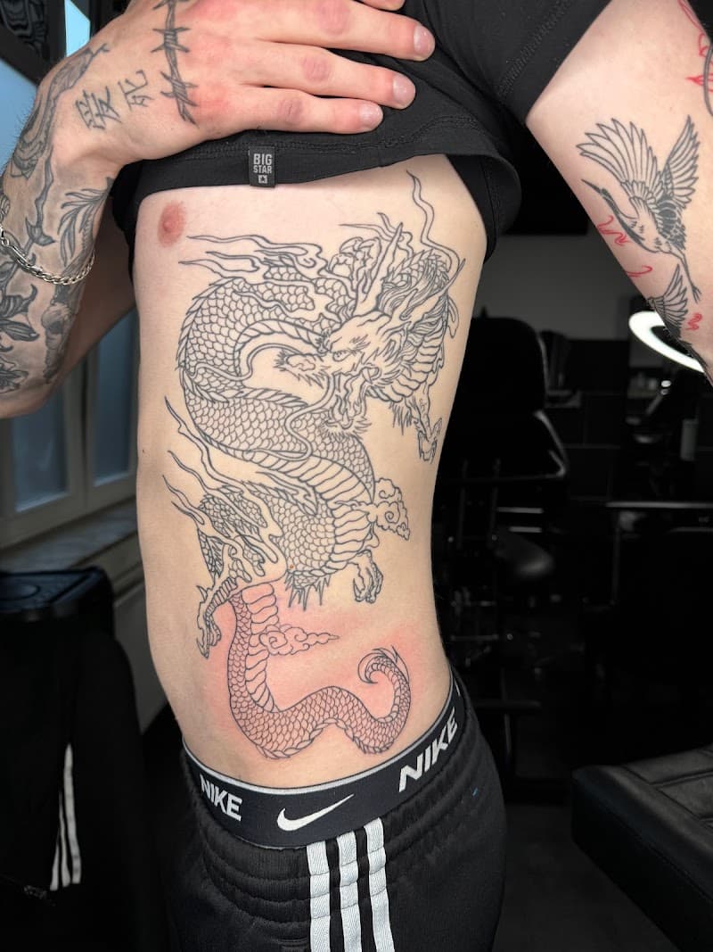 Grote fineline draak tattoo op de ribben en zij.