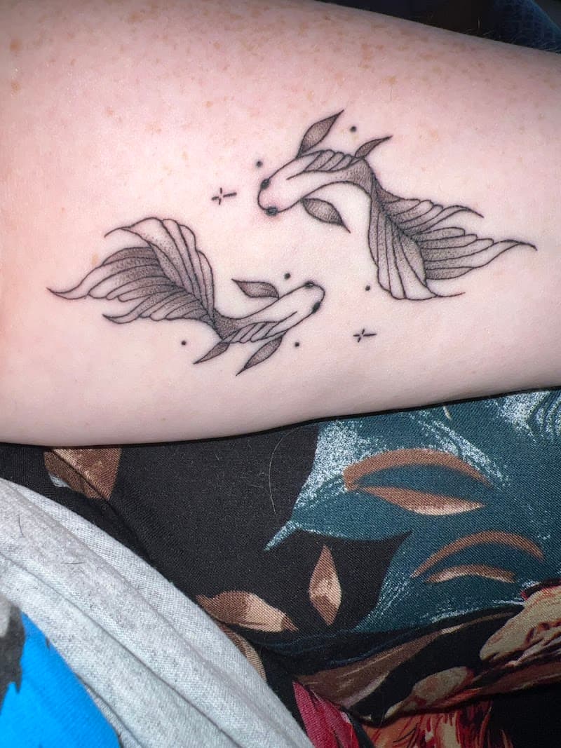 Twee fineline koi vissen zwemmend in een cirkel met sterretjes.