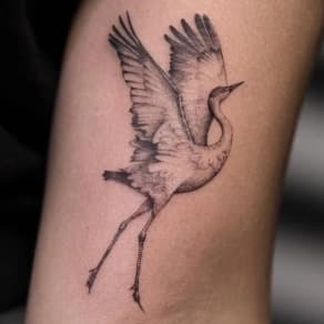 Fineline tattoo van een vliegende kraanvogel op de bovenarm.