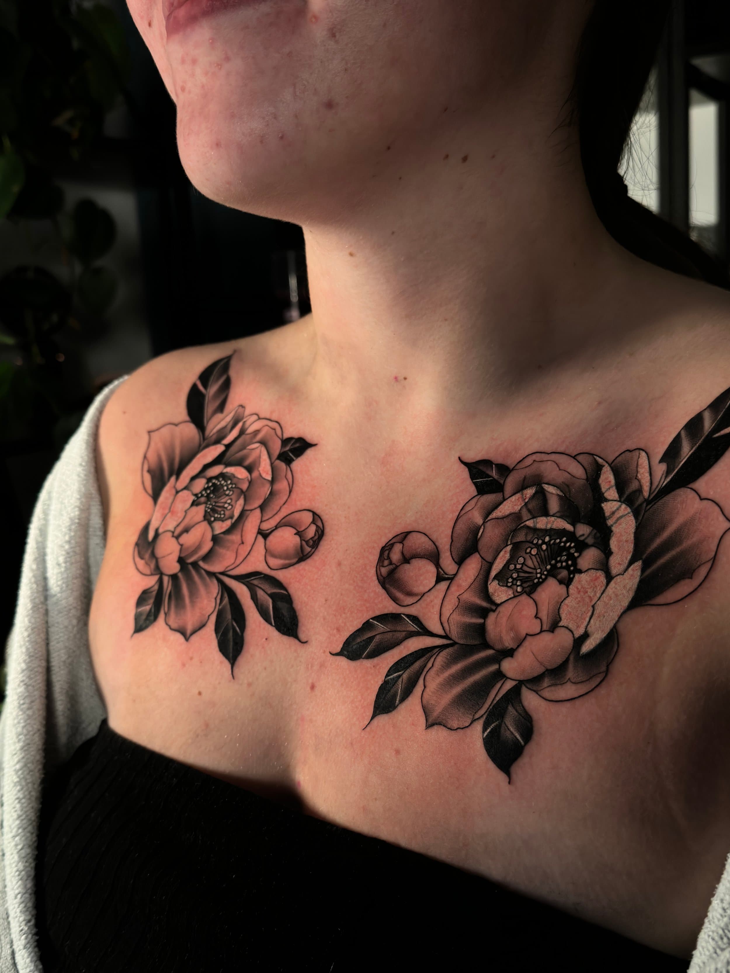 Twee grote zwart-wit pioenrozen met bladeren op de borst.