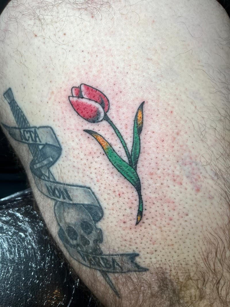 Nieuwe tulp tattoo in kleur naast een oudere schedel met zwaard en banner.