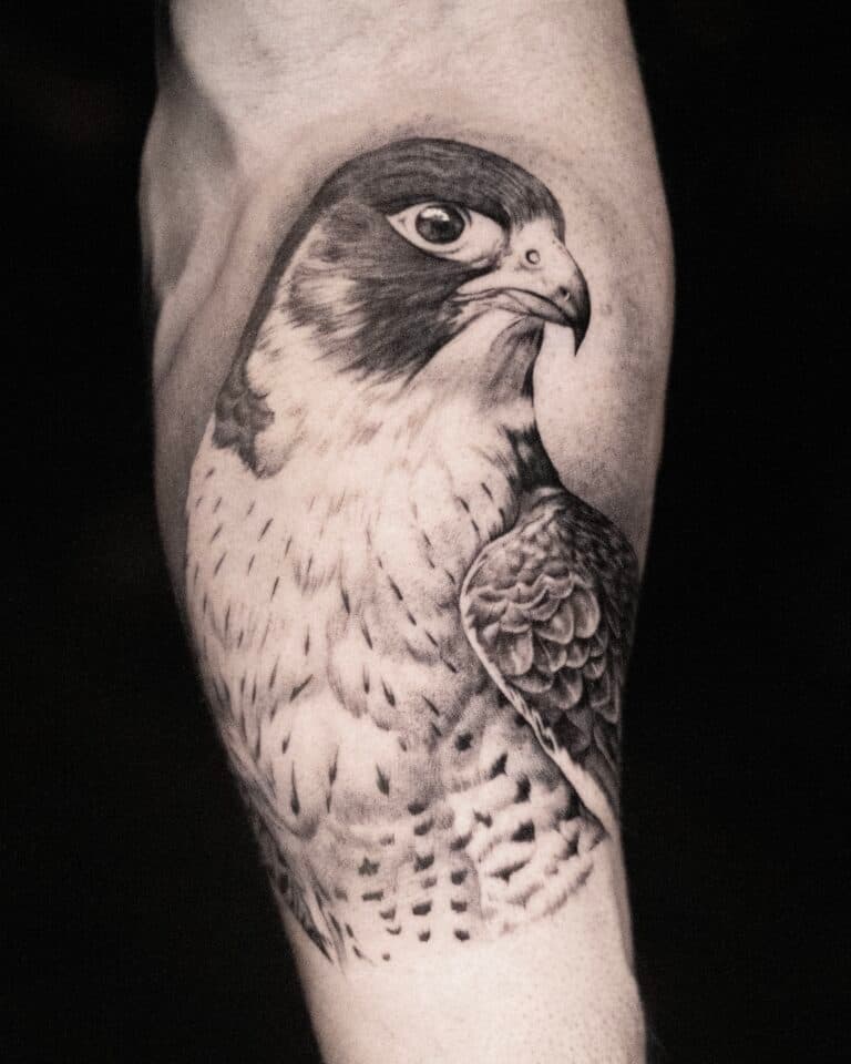 Realistische slechtvalk tattoo op de bovenarm.