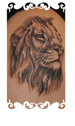 Realistisch zwart-wit portret van een leeuwenkop op de bovenarm.