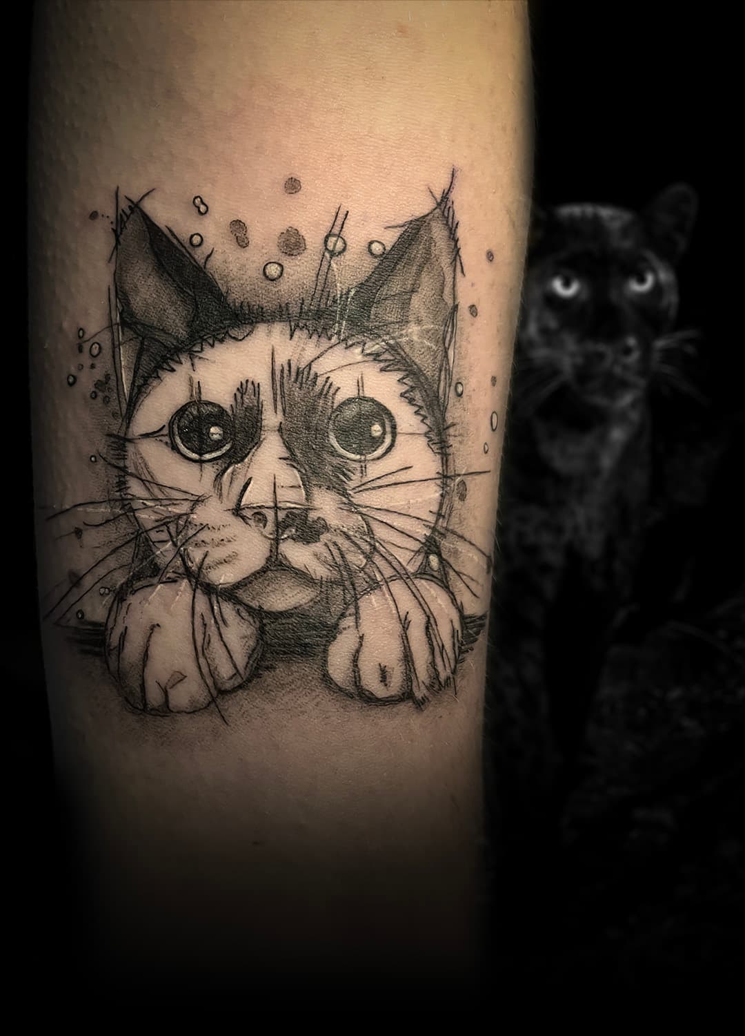 Sketchy blackwork tattoo van een kat die over een rand kijkt.