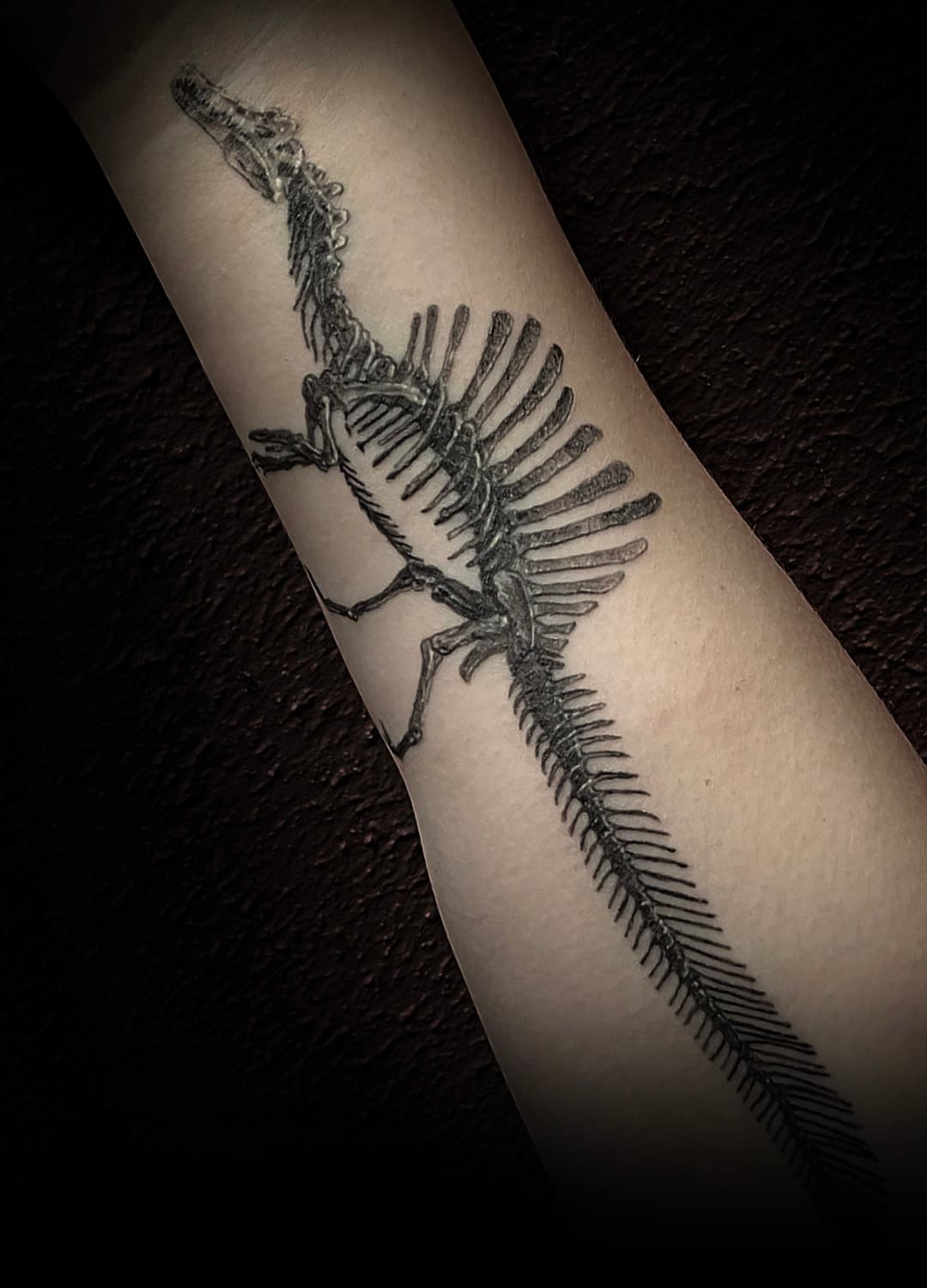 Gedetailleerd Spinosaurus skelet op de onderarm.