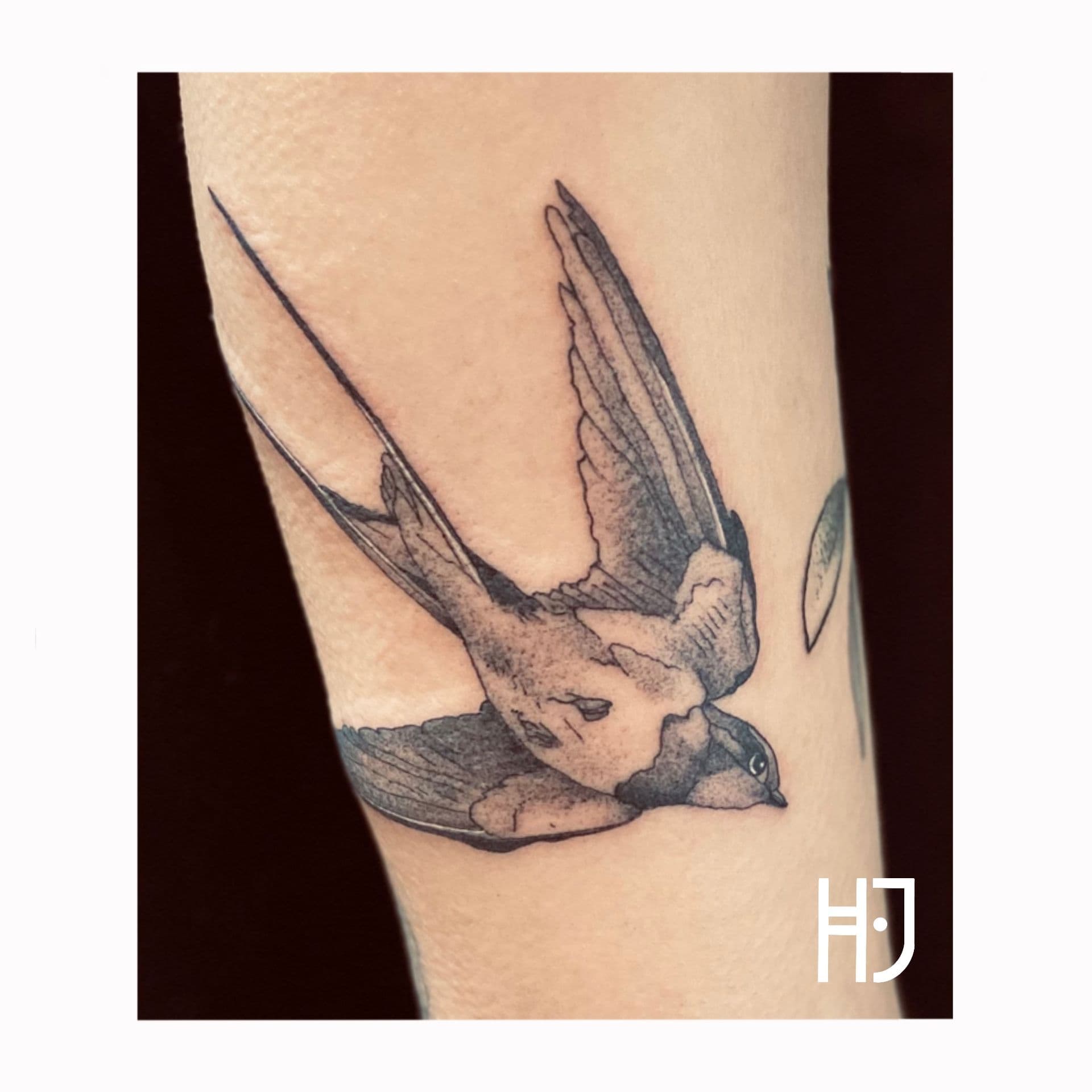 Gedetailleerde blackwork zwaluw tattoo op de bovenarm.