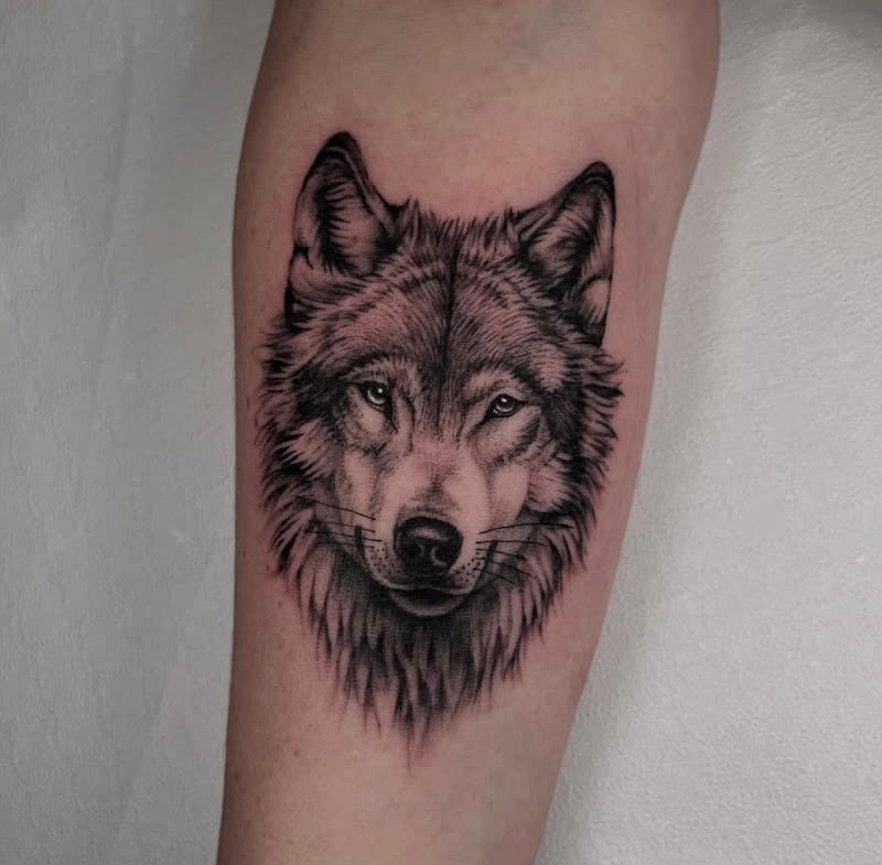 Realistische wolfskop tattoo op onderarm.