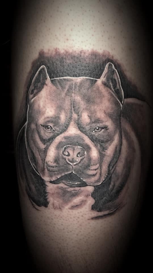 Realistische zwart-wit tattoo van een pitbull kop op een been.