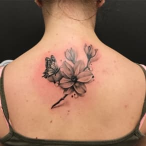 Zwart-wit magnolia bloem met vlinder op de bovenrug.