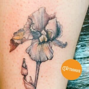 Illustratieve iris bloem tattoo met zachte kleuren op het been.