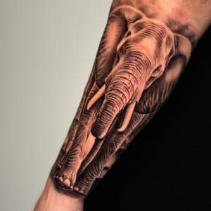 Realistische olifant tattoo op de onderarm.