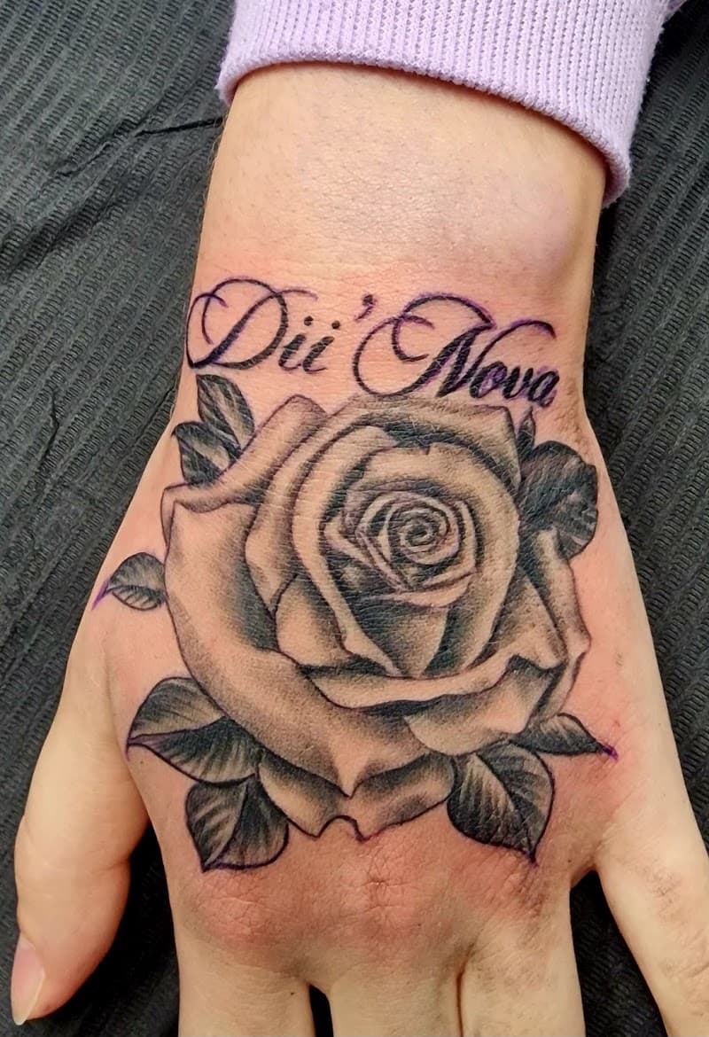 Zwart-grijze roos met 'Dii'Nova' tekst op hand.