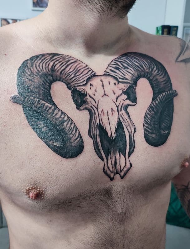 Grote ram schedel tattoo op de borst in blackwork stijl.