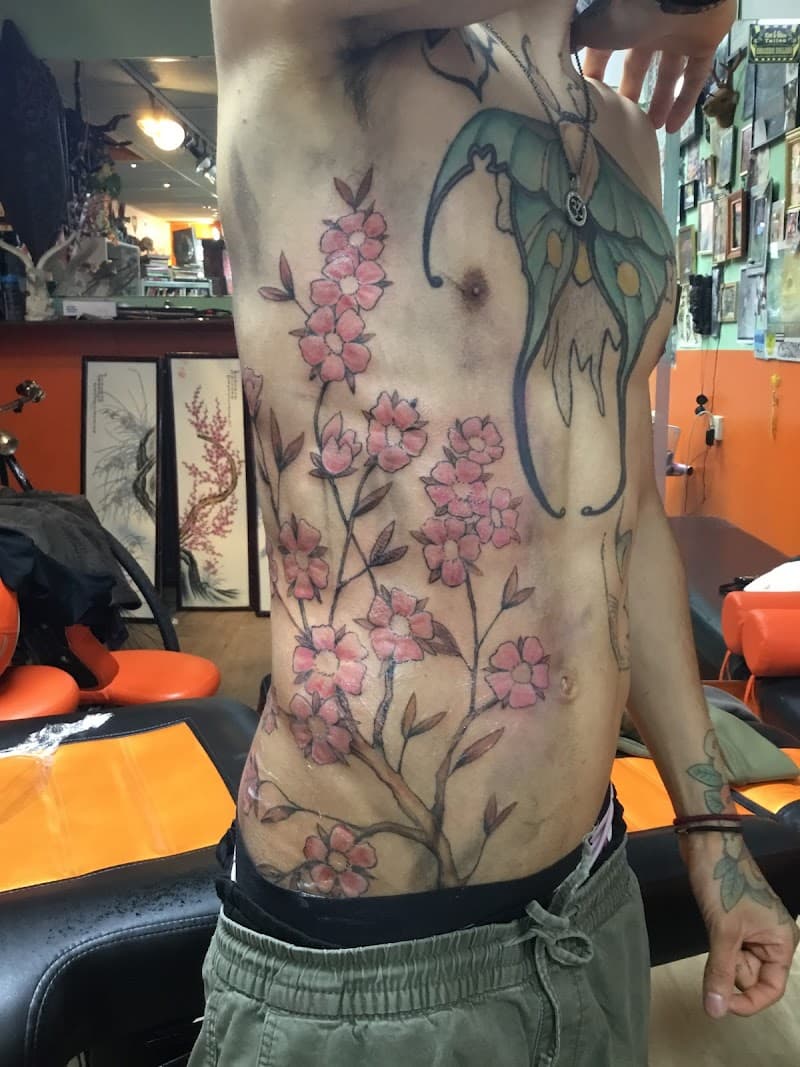 Grote kersenbloesem tak met roze bloemen op de zij en ribben.