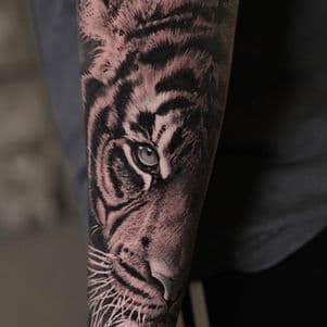 Realistische zwart-wit tijgerkop op de onderarm.