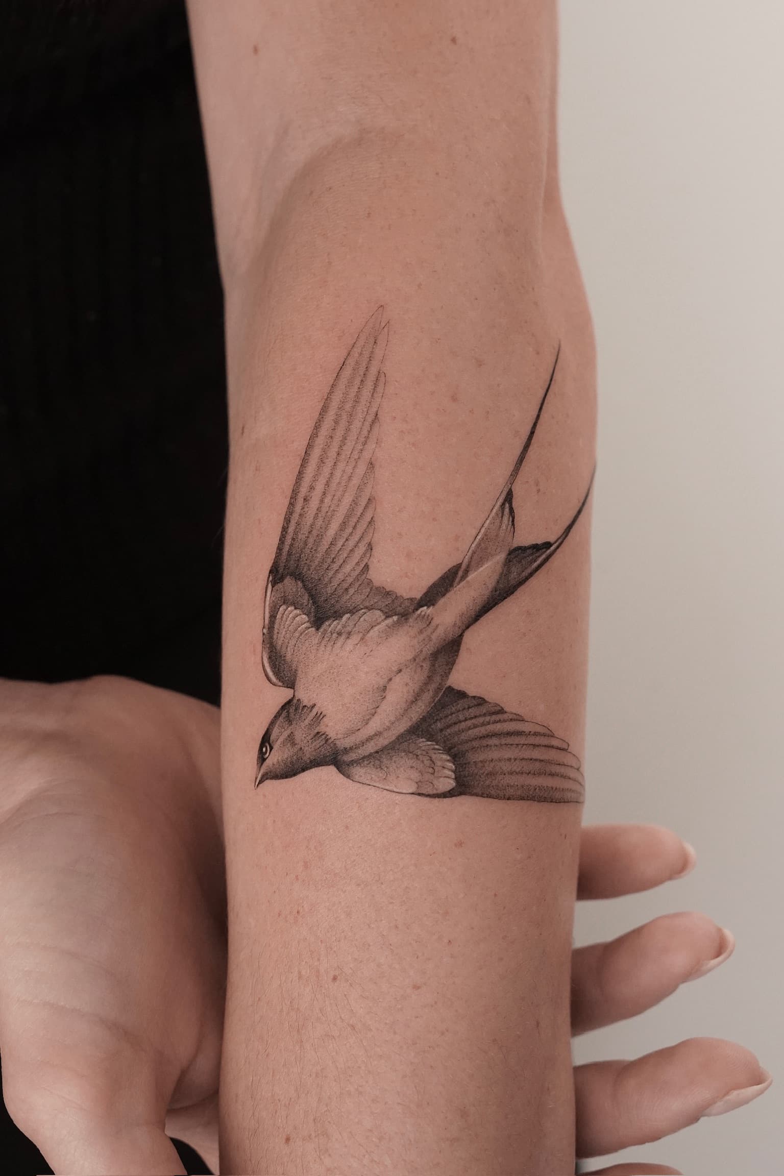 Realistische zwaluw tattoo in zwart-wit op de onderarm.