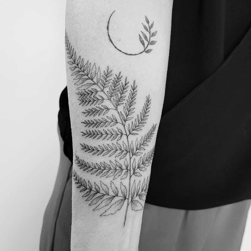 Luna Moth Tattoo Studio