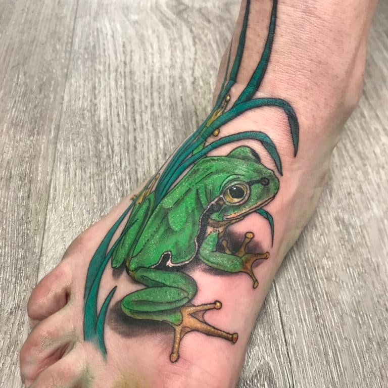 Realistische groene boomkikker met gras op voet.