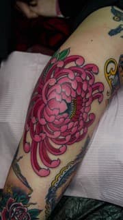 Grote roze Japanse chrysant tattoo op het onderbeen.