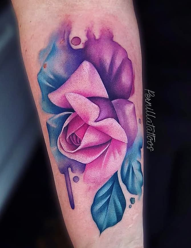 Aquarel roos tattoo in roze en paars met blauwe bladeren op de onderarm.