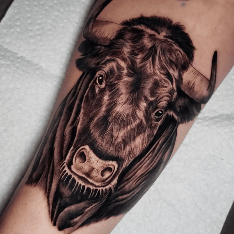 Realistische gnoe kop tattoo op onderbeen.