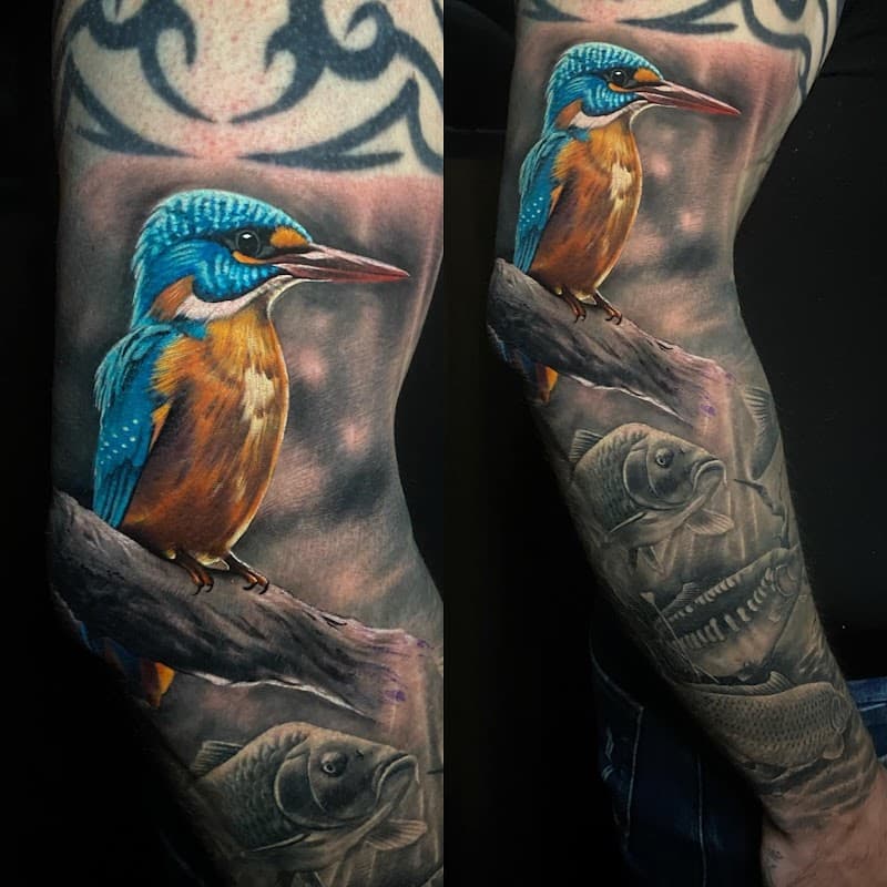 Realistische ijsvogel in kleur op een tak, met vissen in zwart-wit eronder.