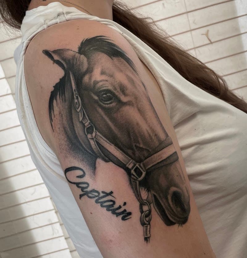 Realistisch paardenhoofd met halster en de naam 'Captain' eronder.