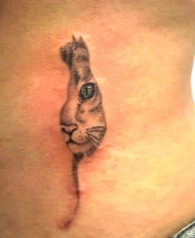 Realistisch kattenoog en deel van gezicht, lijkt uit de huid te komen.