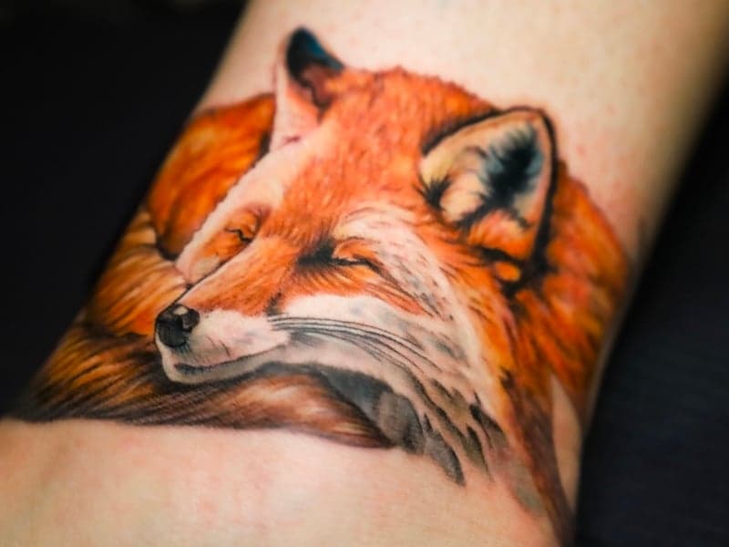 Close-up van een realistische, slapende vos tattoo in kleur.