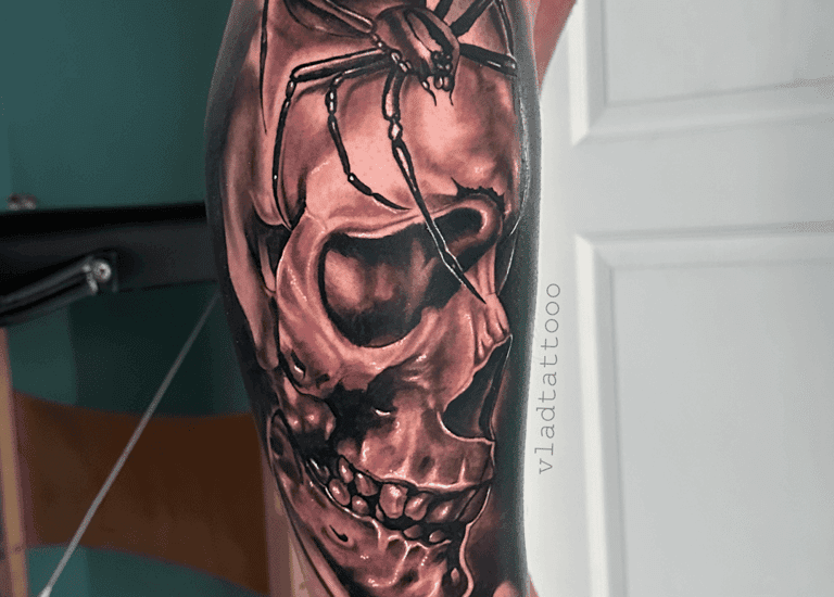 Realistische schedel met een grote spin erbovenop, in zwart-wit.