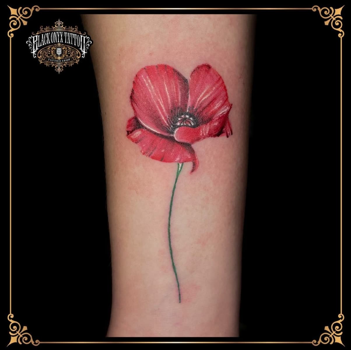 Rode klaproos tattoo op onderarm.