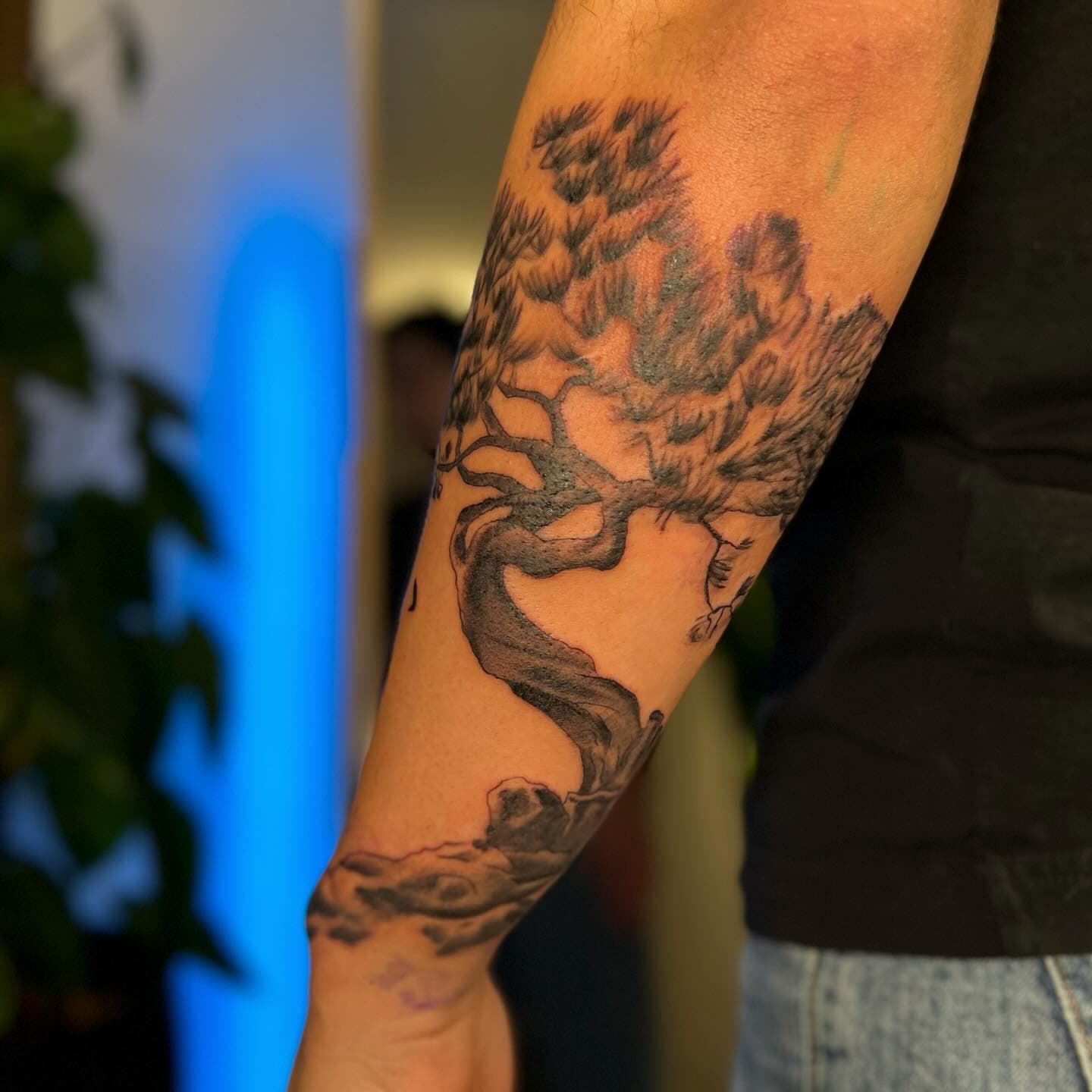 Zwart-wit illustratieve bonsai boom tattoo op onderarm.
