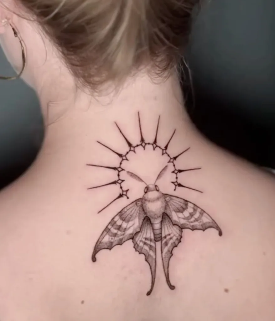 Fineline mot met een decoratieve stralenkrans op de nek.