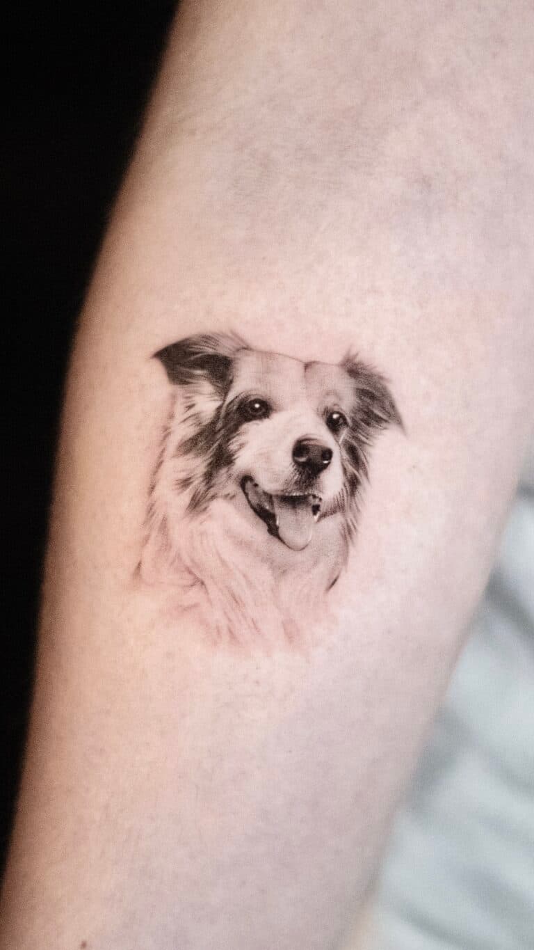 Realistisch portret van een Border Collie hond op de arm.