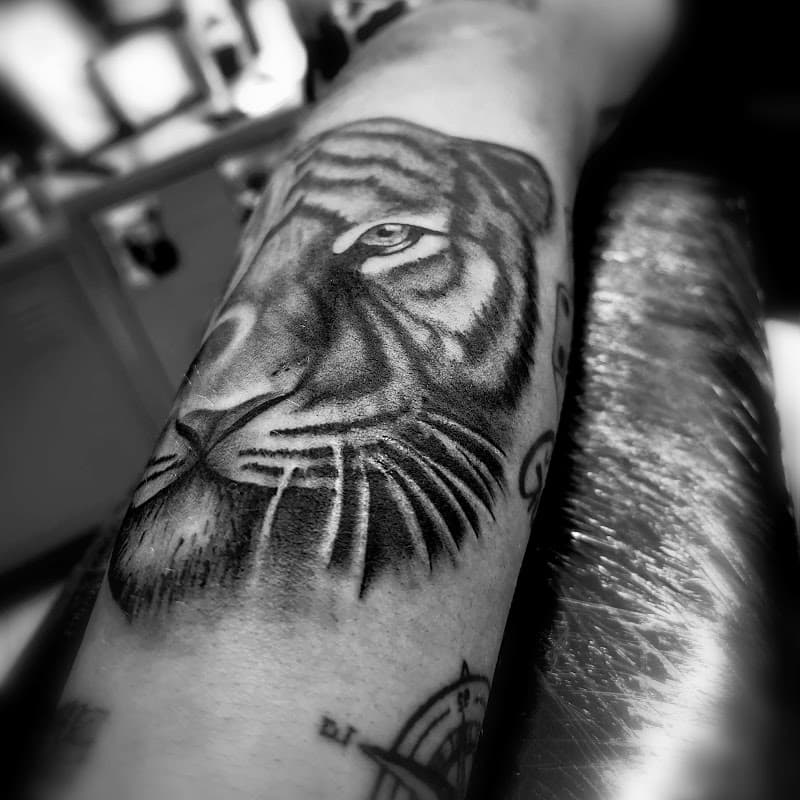 Zwart-wit realistische tijgerkop tattoo op onderarm.