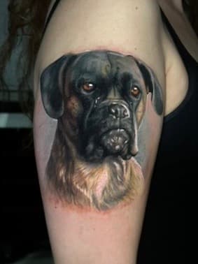 Realistisch portret van een boxer hond op de bovenarm.